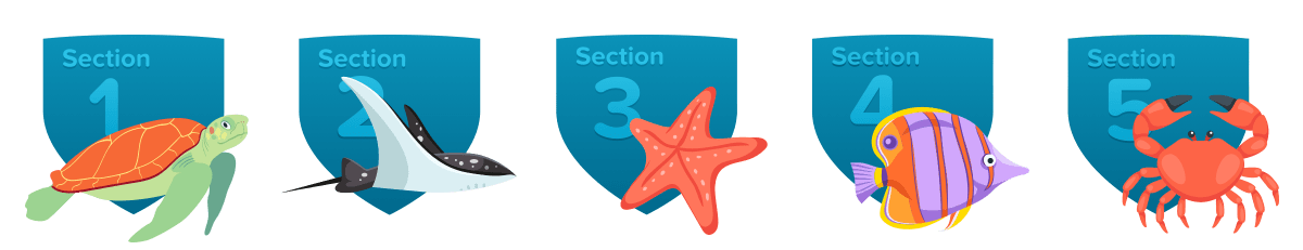 Badges earned for sections completed